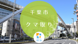 千葉市　クマ取り　安い
